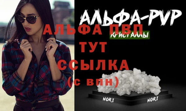 таблы Бородино