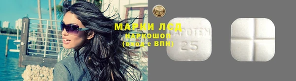 таблы Бородино