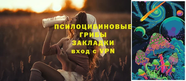 дмт Бронницы