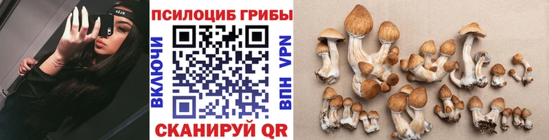 Галлюциногенные грибы прущие грибы  где купить   Жуковка 